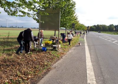 Herbstbepflanzung 2019